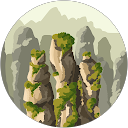 R Z profile picture