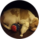 Wesley profile picture